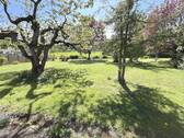 Garten - 4 Zimmer Einfamilienhaus zum Kaufen in Weil der Stadt