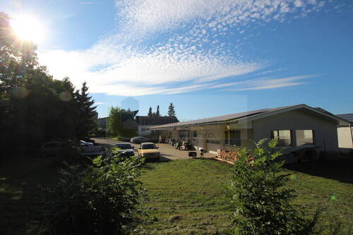 Halle mit Grundstück - Wohnen, Arbeiten und Vermieten - vielseitiges Ensemble mit Wohnhaus, Werkhalle und Photovoltaik in Hüfingen!