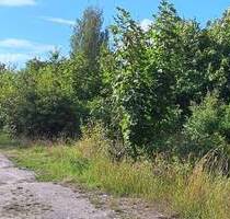 Grundstück in Saalfeld zu verkaufen