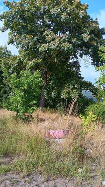 Grundstück 2 - Grundstück in Saalfeld zum Kaufen