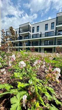 Weißgelände (3).jpeg - 