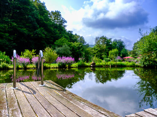 Schwimmteich - 