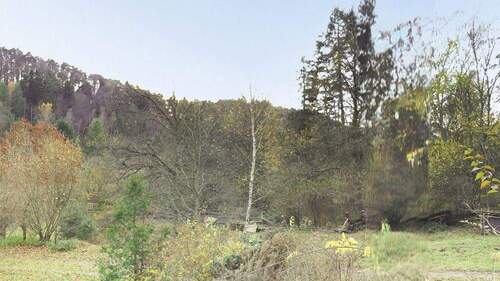 Bilck von Terrasse - 