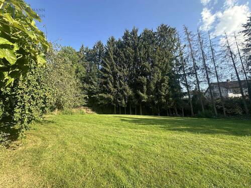 Grundstück - Baureifes Grundstück in Bebra - Solz!