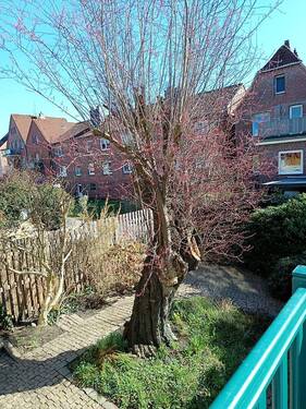 innenliegender Garten - 