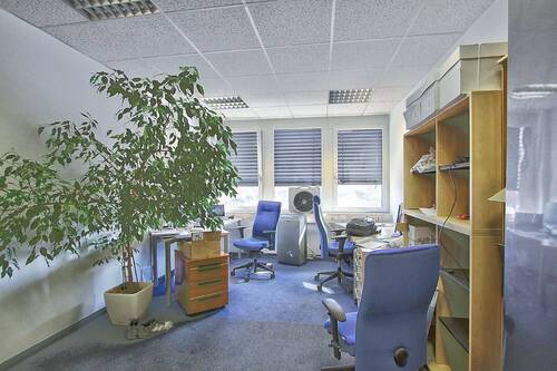 Exemplarisches Büro - 