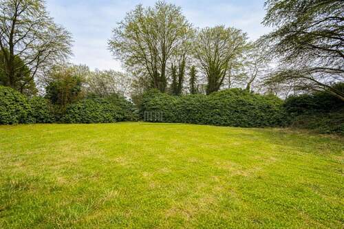 große Rhododendron - Grundstück in Halstenbek zum Kaufen
