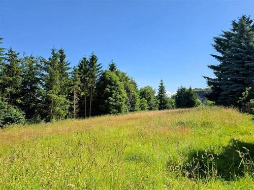 Grundstück 5000 m² - 