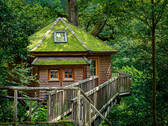 Baumhaus 