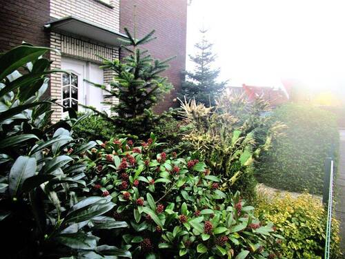 IMG_1212 (2) - Gemütliche Single-DG-Whg. mit EBK, ohne Balkon, 2. OG in Wohnhaus m. 3 Einheiten