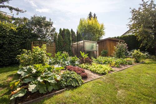 Garten_3 - 
