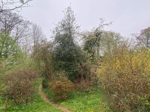 Bild 4 - Einfamilienhaus in Hamburg zum Kaufen