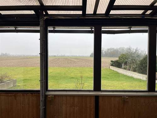 Blick vom Wintergarten auf Terrasse und Garten - 