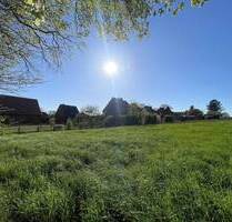 Grüne Umgebung - Haltern-Lippramsdorf - Haltern am See / Lippramsdorf