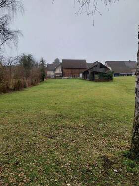 Blick vom Grundstücksende zum Haus - 