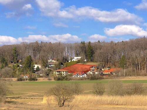 Fernblick auf das Grundstück - 