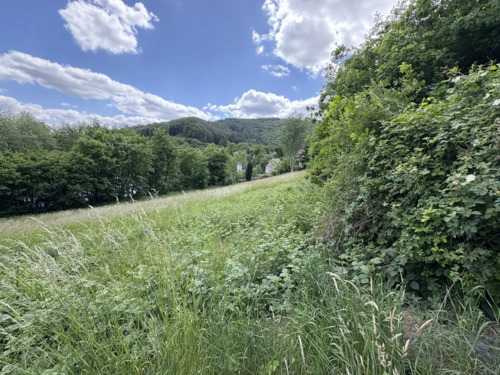 58d44a19-2272-4a65-944b-c932055d7eb3-1907228911 - 