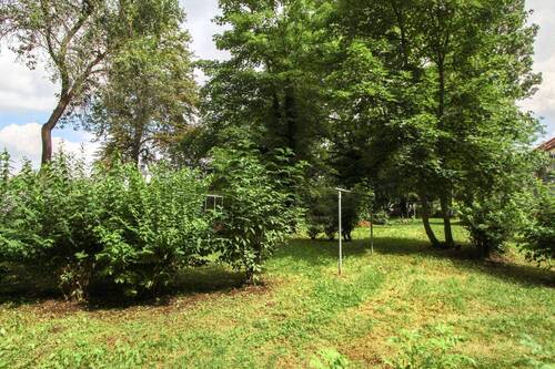 Gemeinschaftsgarten - 