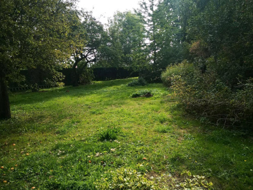 8be89b2e-e6db-41ca-8e21-482f3d6626e6 - 