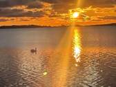 Sonnenuntergang bodden 2.jpg - 