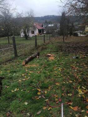 Bild 2 - 8 Zimmer Einfamilienhaus zum Kaufen in Berching