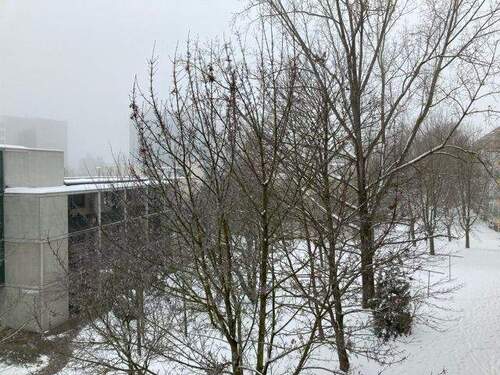 Aussicht - 2 Zimmer Etagenwohnung zur Miete in Weimar