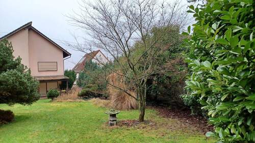 20251220_113253.jpg - 