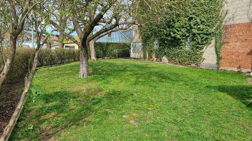 Garten.jpg - Mehrfamilienhaus, Wohnhaus in Schondra zum Kaufen