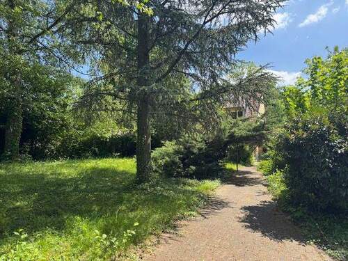 Bild1 - idyllisches kleines Wohnhaus mit Baugrundstück auf dem Scheidterberg,, SB-Scheidt