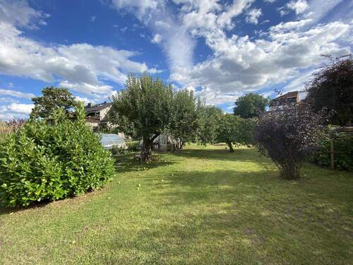 Grünfläche mit Obstbäumen - 