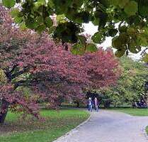 vorliegendes Kaufangebot 659 tsd. ab einem Angebot von 670 tsd. sagen wir ja !!! - Berlin Wilmersdorf