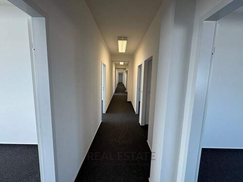 2.jpg - 1 Zimmer Büro zur Miete in Hamburg