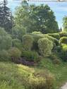 Garten Grünanlage.jpg - 