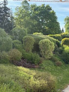 Garten Grünanlage.jpg - 