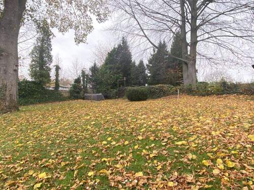 Gemeinschaftsgarten - 