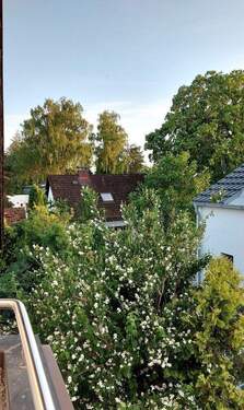 Südblick vom DG Balkon - 
