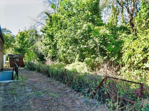 Garten-Richtung Wald - 