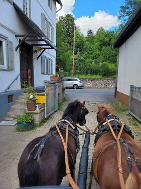 IMG-20260326-WA0041.jpg - 