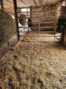 IMG-20260326-WA0048.jpg - 