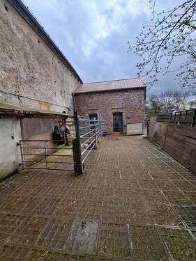 20260325_170309.jpg - Bauernhaus, Landhaus zum Kaufen in Oberneisen