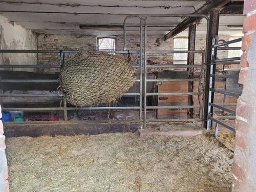 IMG-20260326-WA0006.jpg - Bauernhaus, Landhaus mit 200,00 m&sup2; in Oberneisen zum Kaufen