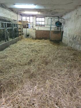 IMG-20260326-WA0045.jpg - 