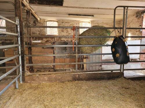 IMG-20260326-WA0042.jpg - 