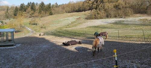 IMG-20260326-WA0039.jpg - 