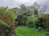 Blick vom Balkon - 