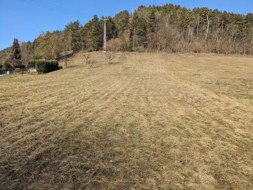 Blick auf das Grundstück - ++++ Traumhaftes, sonniges, Baugrundstück ++++