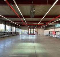 Gewerbe-Produktionshallen mit Bürotrakt in sehr attraktiver Geschäftslage - Endingen