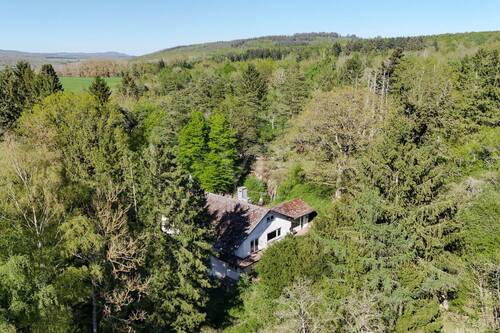 Luftbild von Haus und Umgebung - 1 Zimmer Einfamilienhaus zum Kaufen in Usingen