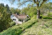Blick von der oberen Gartenfläche - 