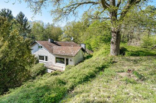 Blick von der oberen Gartenfläche - 